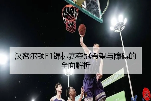 han-mi-er-dun-jin-biao-sai-duo-guan-xi-wang-yu-zhang-ai-de-quan-mian-jie-xi-2-518.jpg